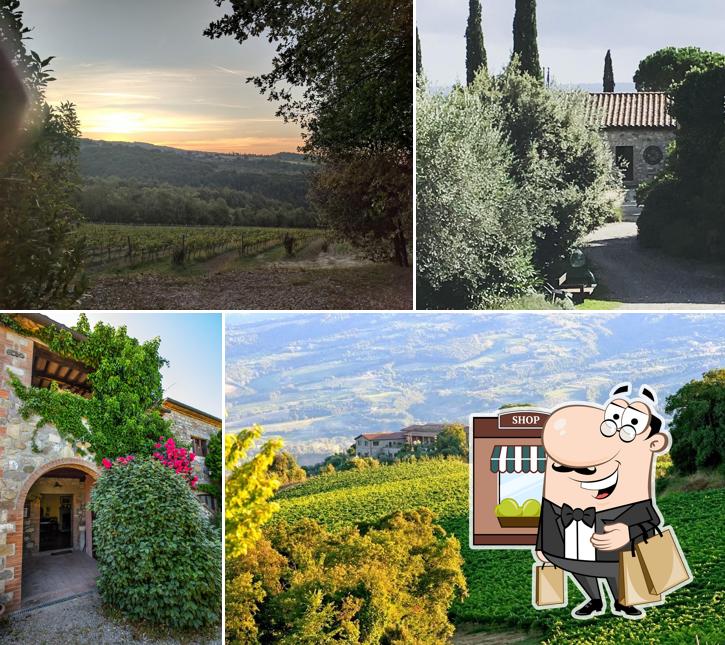 Osteria di vitalonga