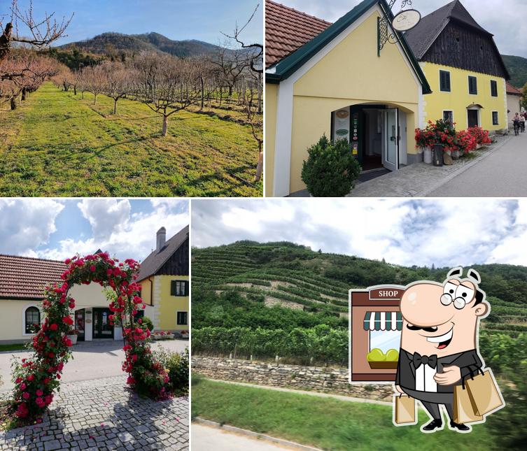 Landgasthaus Essl