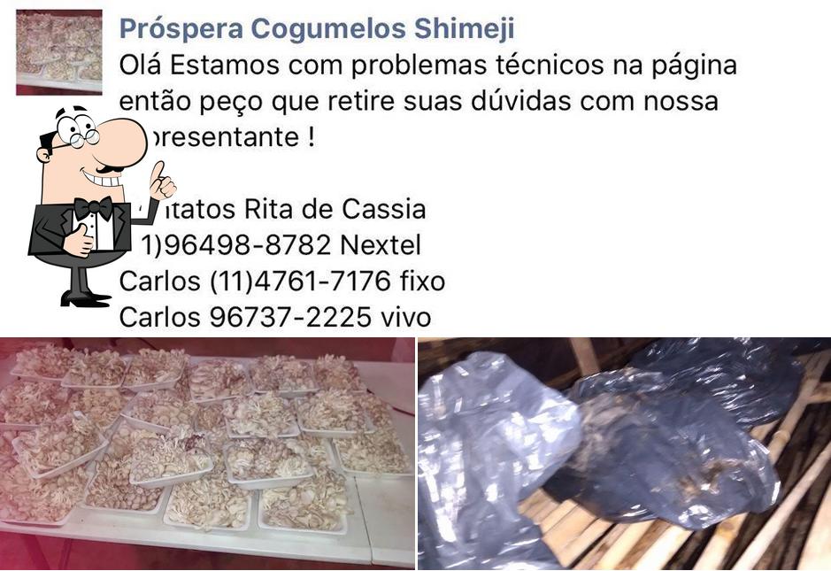 Взгляните на фотографию ресторана "Próspera Cogumelos Shimeji"