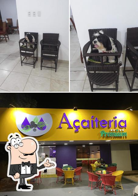 Açaiteria premium