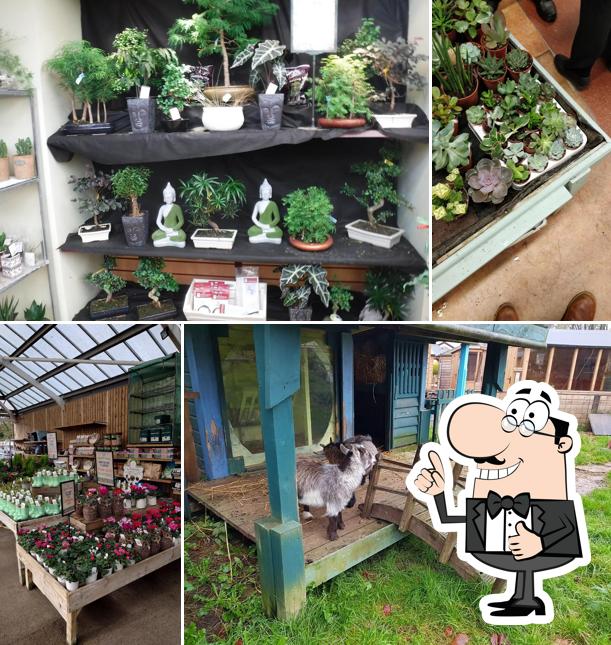 Brambridge Park Garden Centre in Eastleigh Restaurant reviews