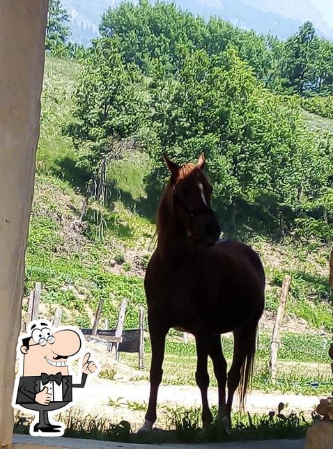 Ecco un'immagine di Agriturismo Lausé
