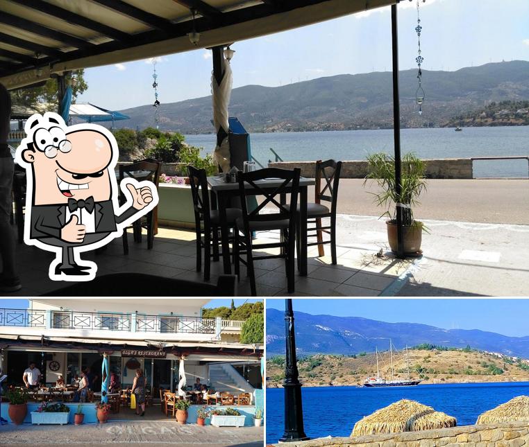 Here's a photo of Olgas Taverna