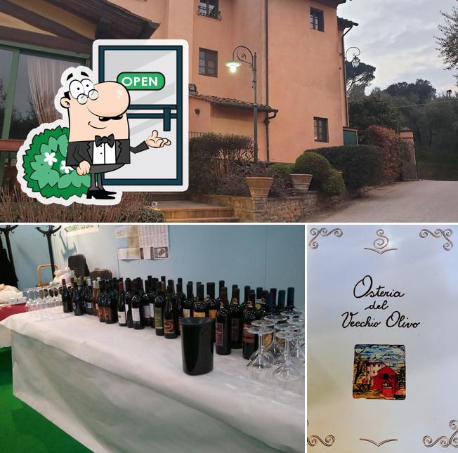 Gli esterni di Ristorante Osteria Del Vecchio Olivo