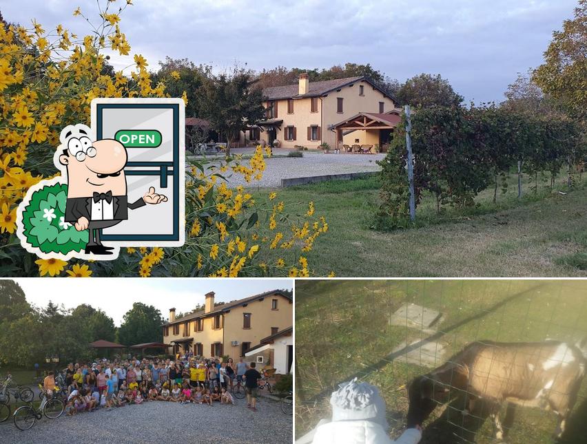 Goditi la vista dall'area esterna di Agriturismo San Geminiano