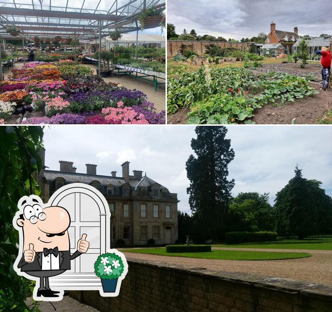 Restaurante Bosworth's Garden Centre at Elton, Elton Opiniones del
