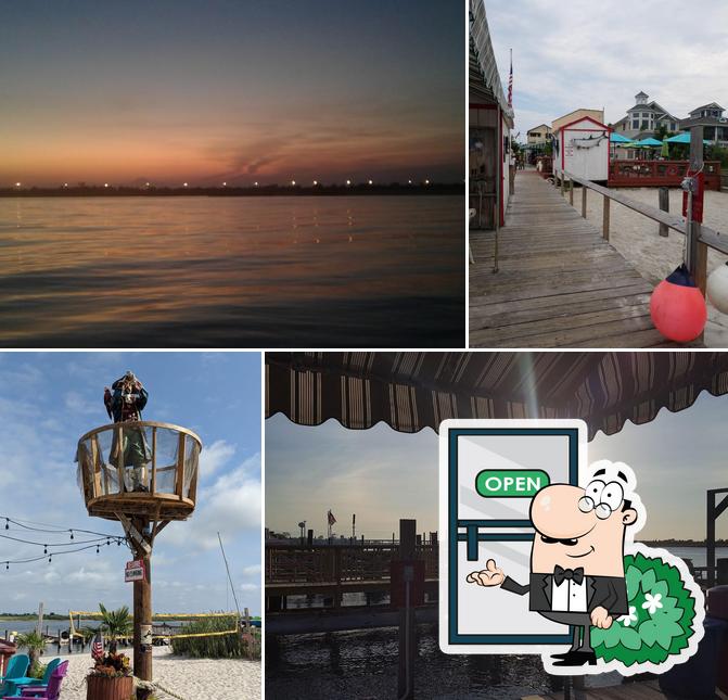Ted's Fishing Station in Point Lookout Restaurant reviews