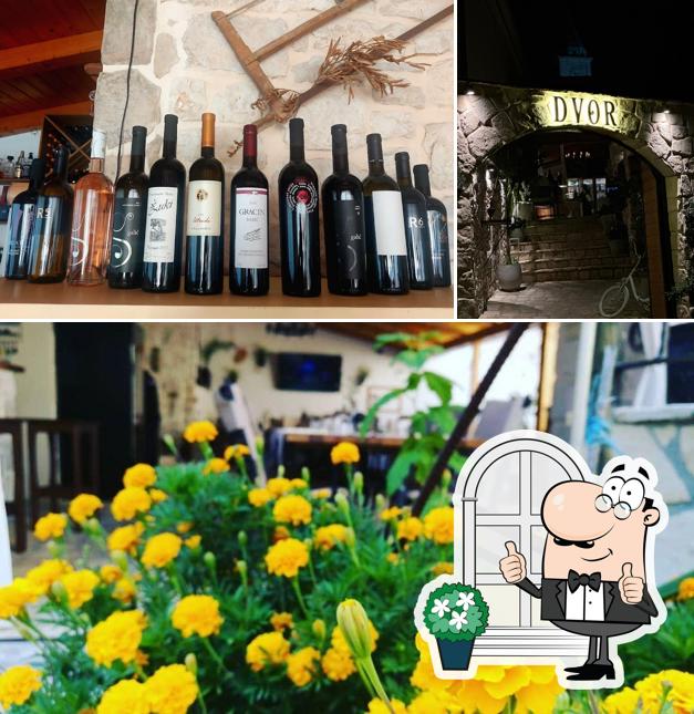 Tra le varie cose da Konoba Dvor si possono trovare la esterno e vino