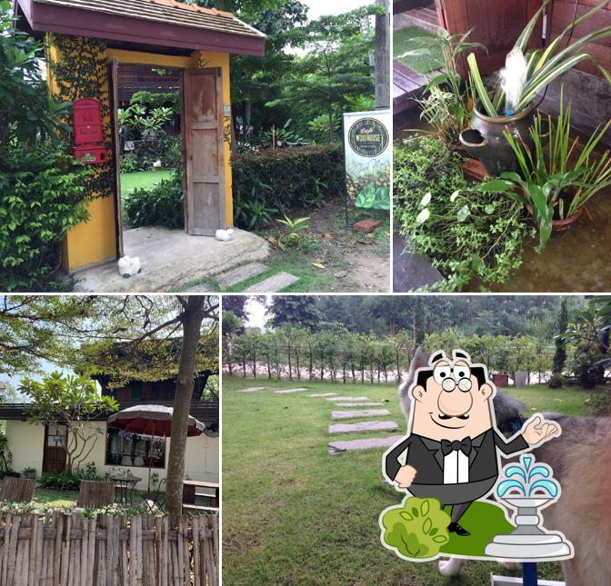 Café Woodhouse cafe, San Sai Luang Restaurant reviews