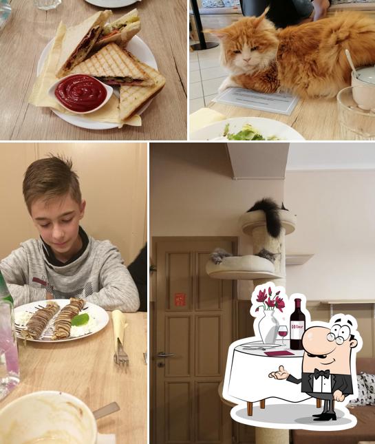 Here's an image of Purrfect Cat Cafe
