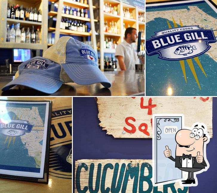 Blue Gill Quality Food in Gainesville Restaurant reviews
