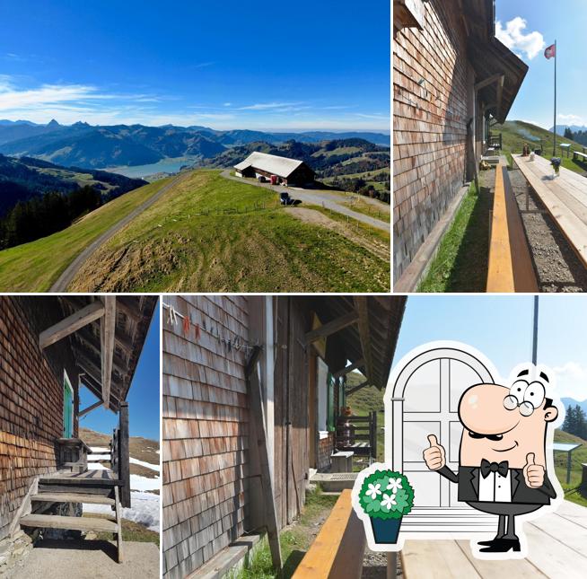 Alp Wildegg