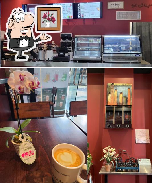 Best restaurants in International Village Mall Restaurant Guru