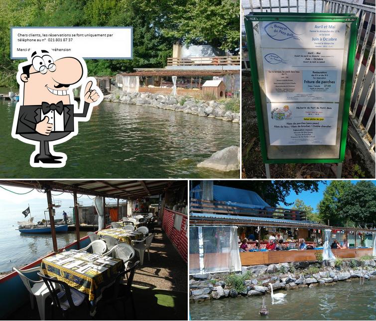 Vedi la foto di Aux Délices du Lac - Buvette du Petit-Bois