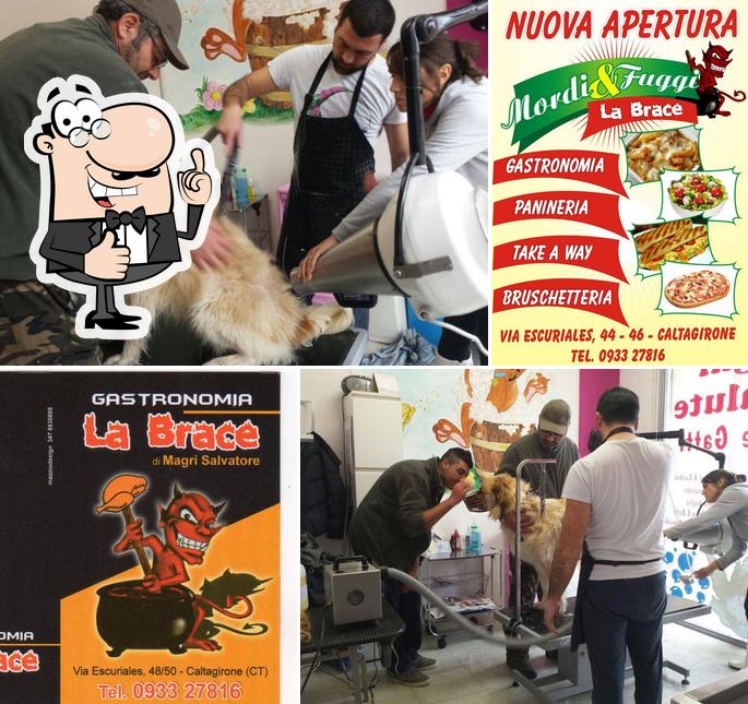 La Brace di Morales Nicola Francesco