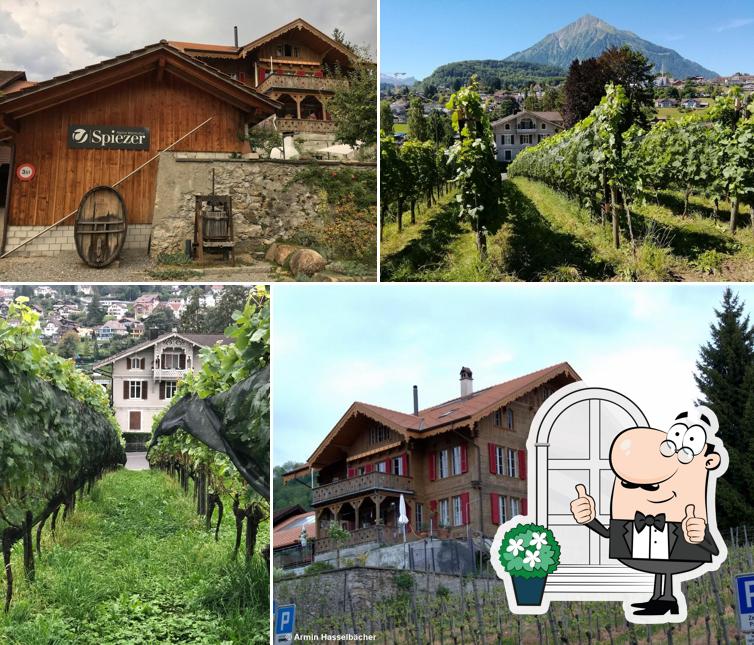 L'extérieur de Spiezer Alpine Weinkultur – Rebbau Spiez Genossenschaft