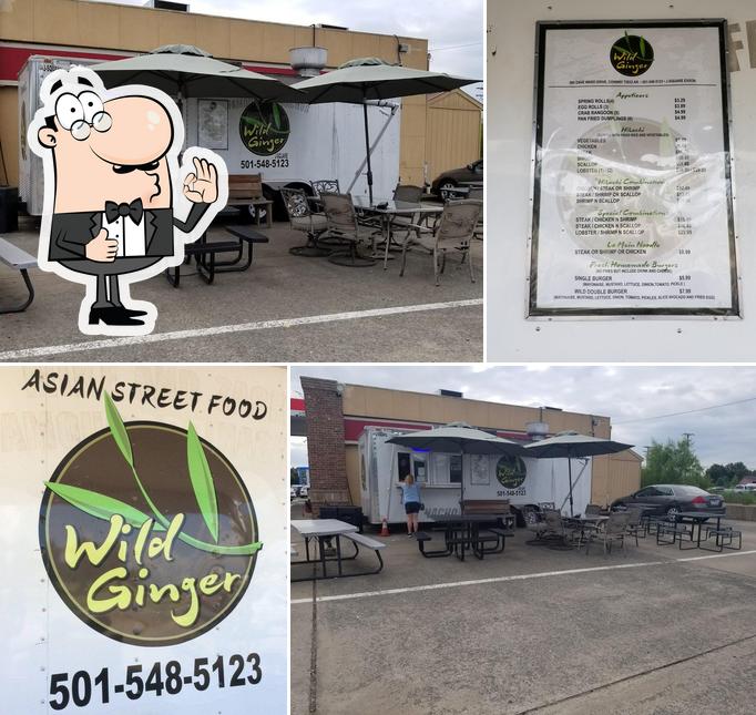 Wild Ginger, 580 E Dave Ward Dr in Conway Restaurant menu and reviews