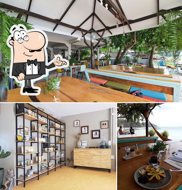 Foods & Roots restaurant, Ko Phangan Restaurant menu and reviews