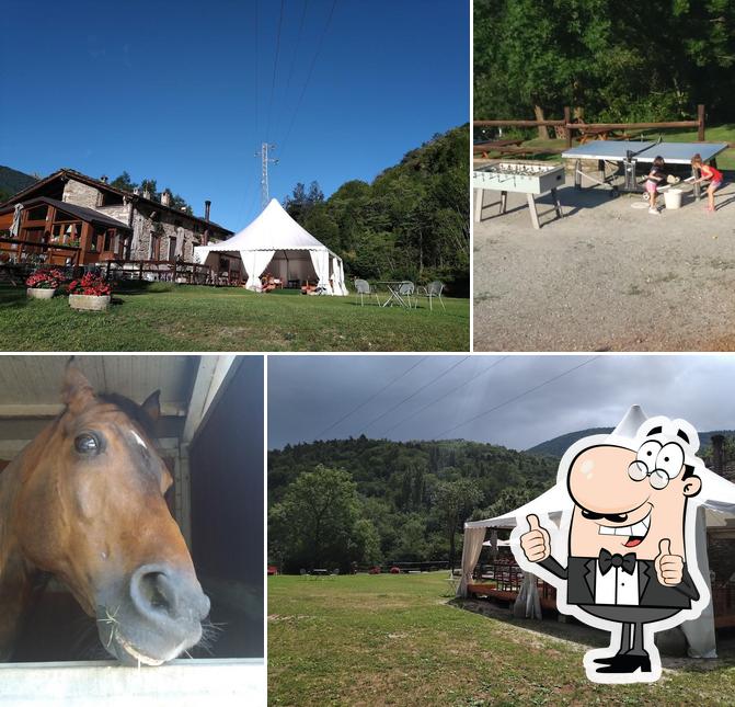 Vedi la foto di Ristorante Il Mulino Di Mattie Di Chalier Sas