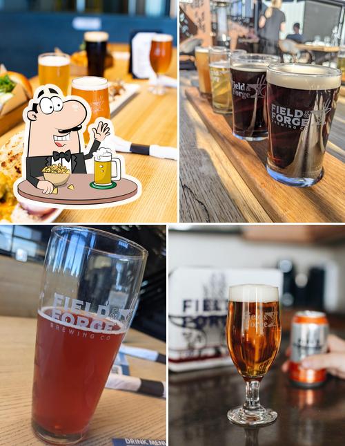 Field & Forge Brewing Co.