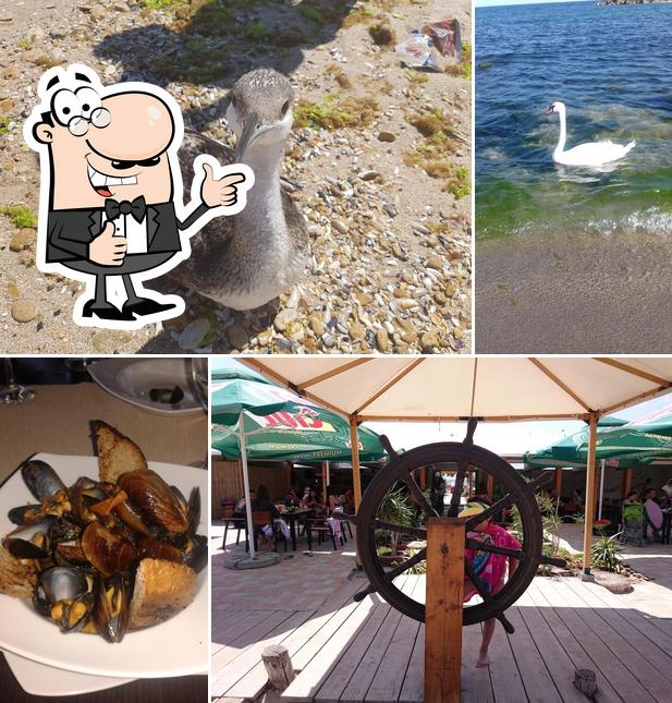 Vila-Restaurant Plaja Azur Eforie