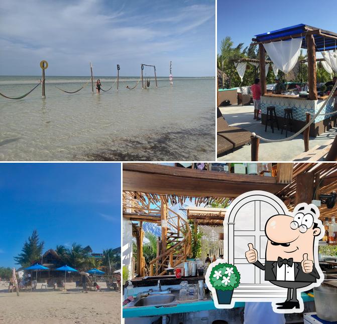 ALMA Bar Holbox, Holbox Opiniones del restaurante