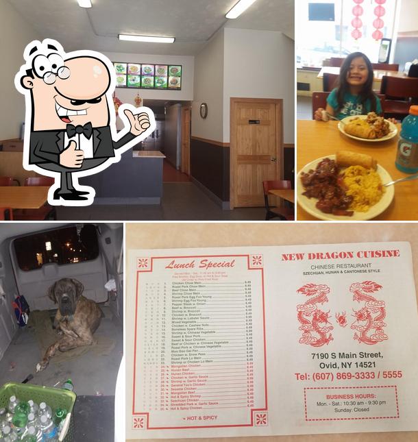 All places to eat and drink in Ovid, New York, summer 2024 Restaurant Guru