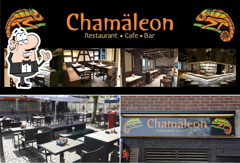 Découvrez l'intérieur de Chamäleon