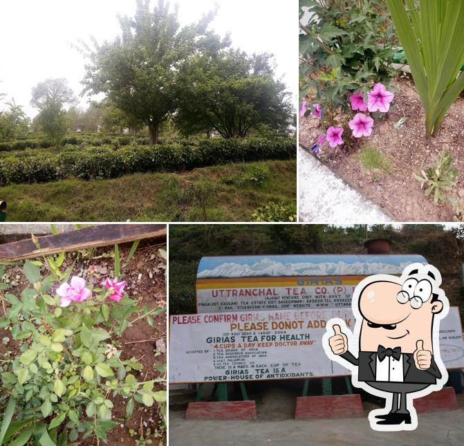 Uttaranchal Tea Store
