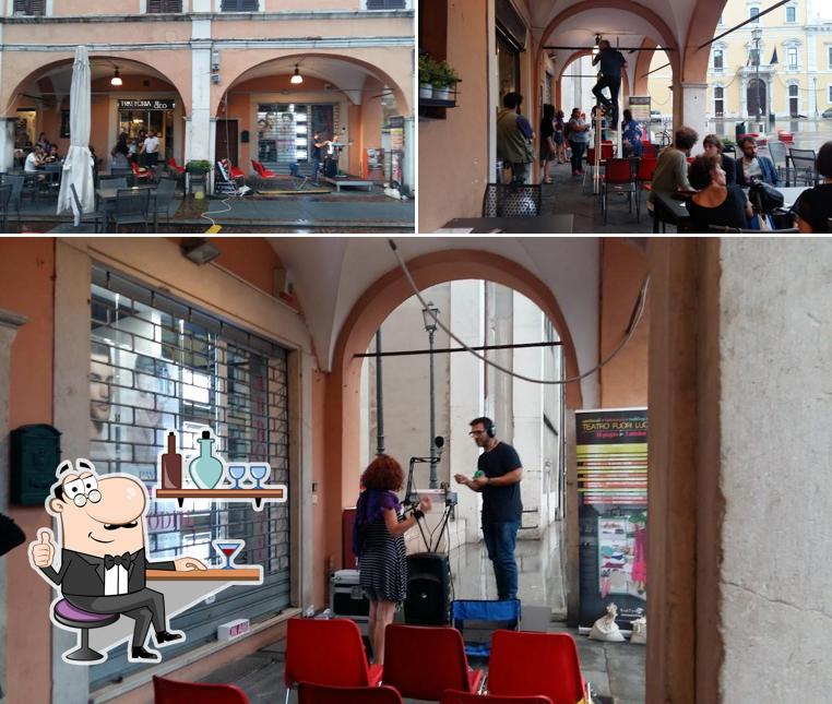 Dai un'occhiata agli interni di Cecosteria