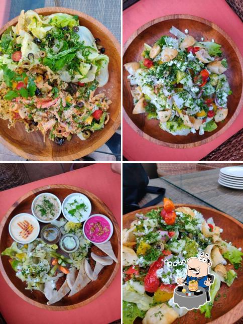 Meals at Zarza Club and Terrace Jaipur