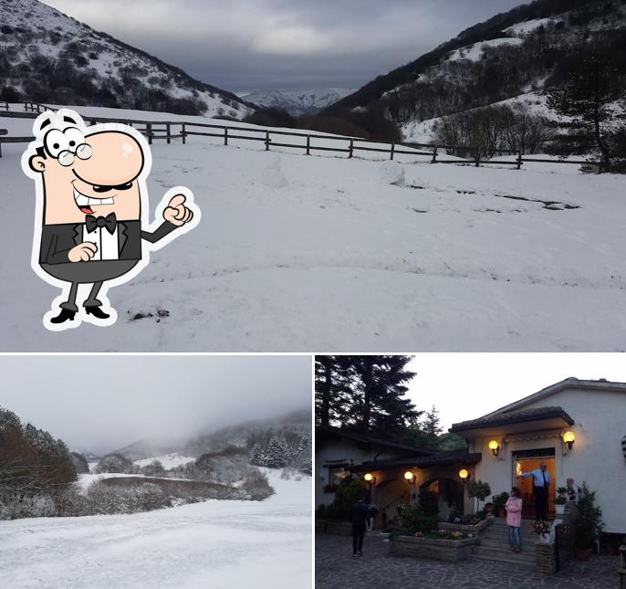 Curiosa tra l'area esterna di Ristorante Da Clelia - localita' Valsorda