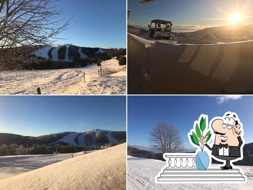 Profitez de la vue de l'espace ouvert de Auberge du Steinlebach