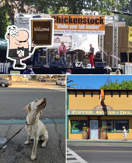 Fair Oaks Coffee House & Deli in Fair Oaks Restaurant reviews