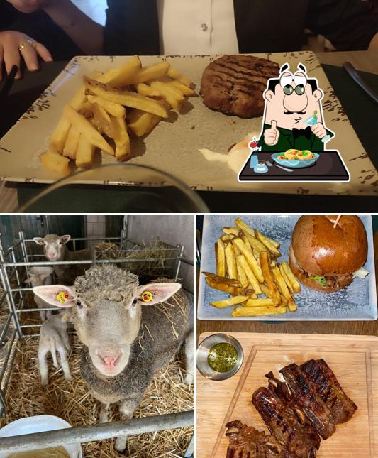 Chianina