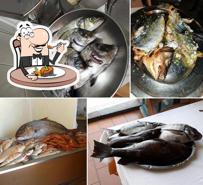 Trattoria Scalo Grande