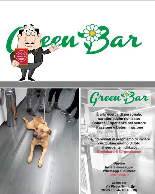 Vedi questa foto di Green Bar