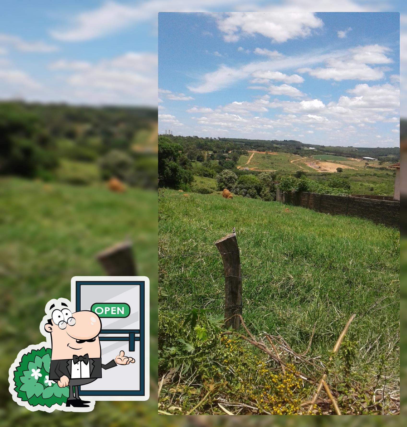 Padaria Vô Chico