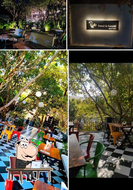 Check out how Food & Forest looks inside