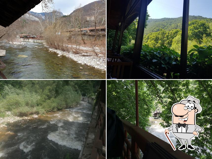 Ресторант “Чинарите” Restaurant Chinarite
