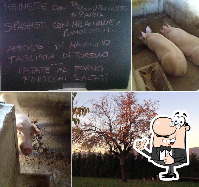 Agriturismo Casa Alta