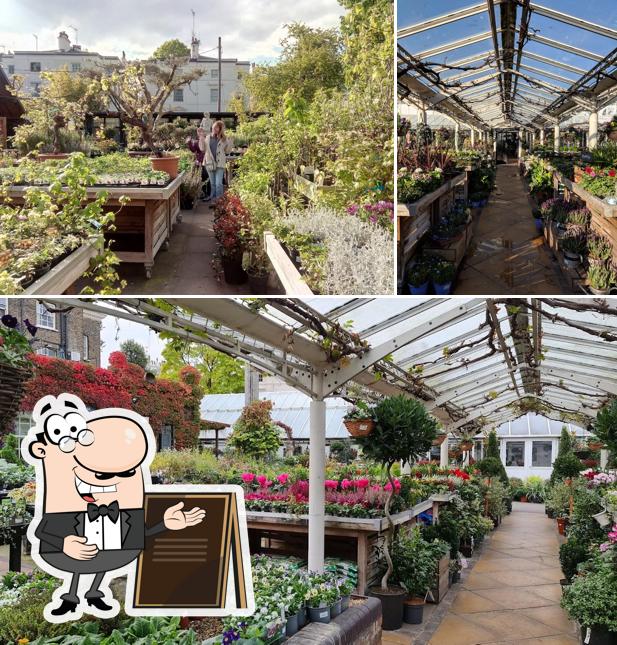 Clifton Nurseries in London Restaurant reviews