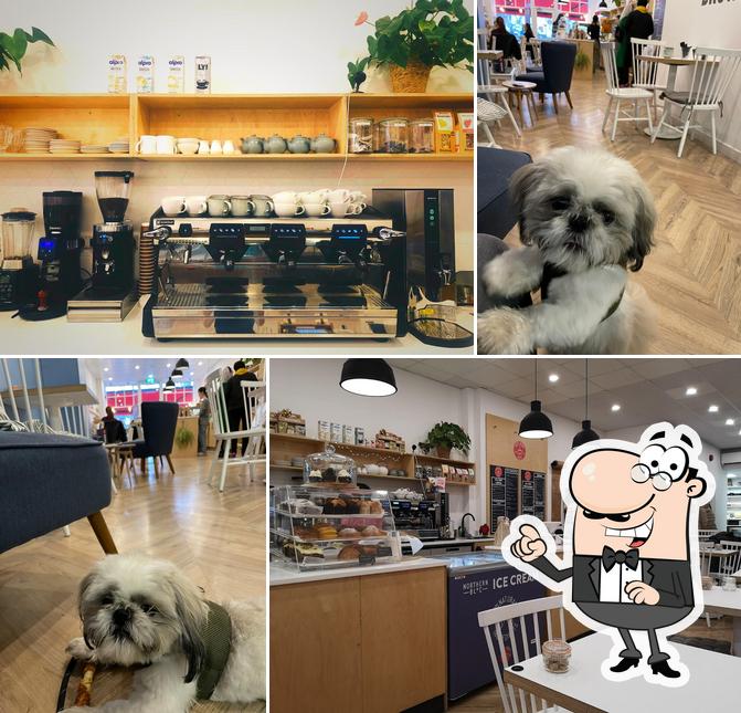 Cozy Bean Cafe in London Restaurant reviews