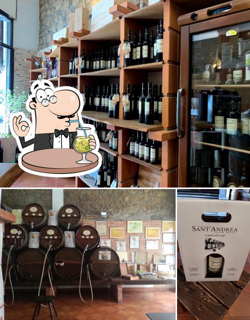 Tra le diverse cose da Cantina Sant'Andrea Enoteca e Vendita Vini Latina si possono trovare la bevanda e esterno
