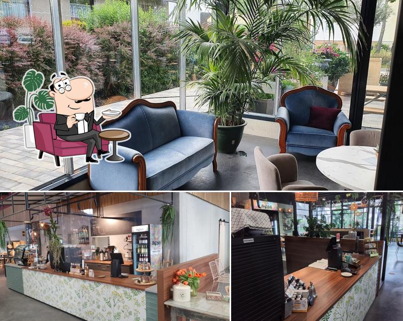 Maygarden Café cafe, Kassel Restaurantbewertungen