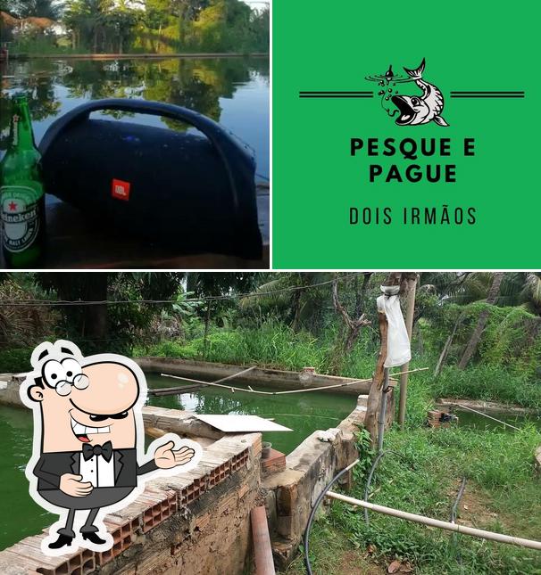 See the image of Restaurante Pesque e Pague Dois Irmãos