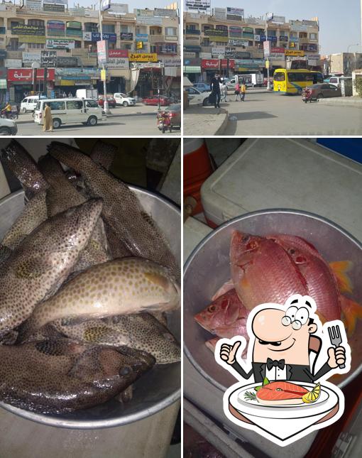 أسماك أبو على