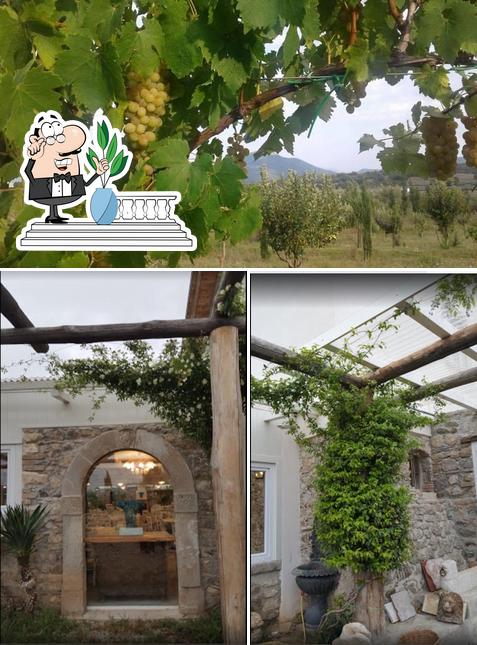 Gli esterni di Agriturismo Masseria Aghìa