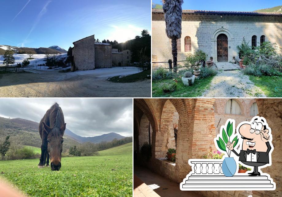 Abbazia di Valdicastro - Azienda Agricola Biologica