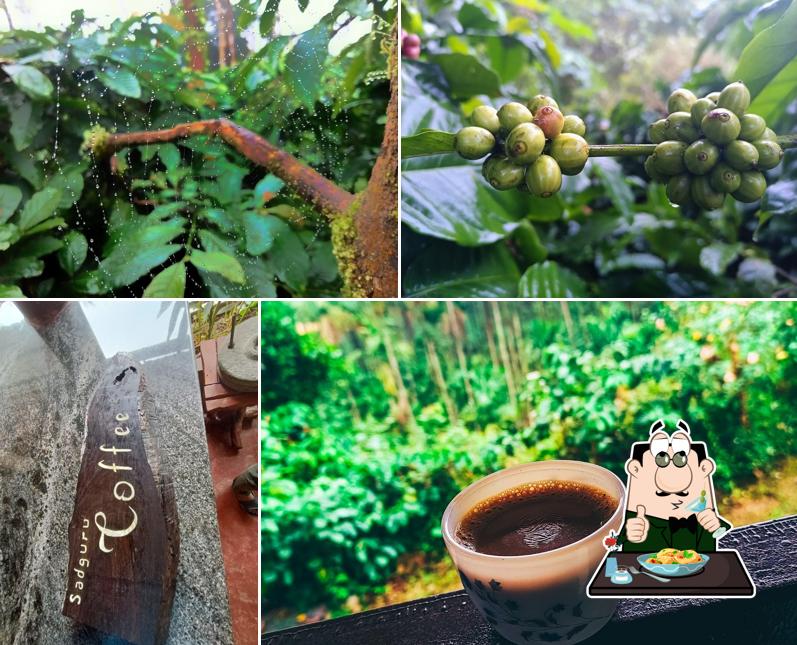 Sadhguru Coffee Works